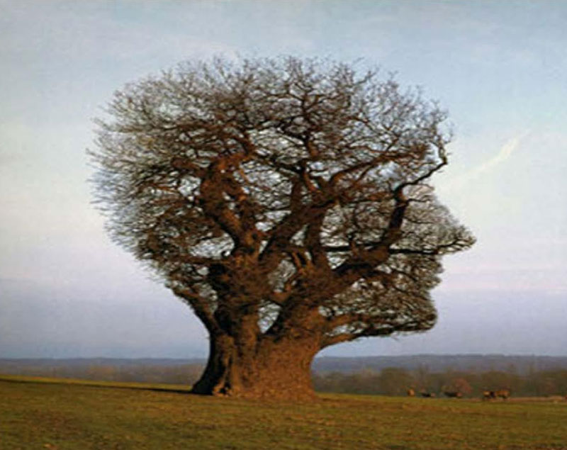 Ilaria Ortolani - diagnosi