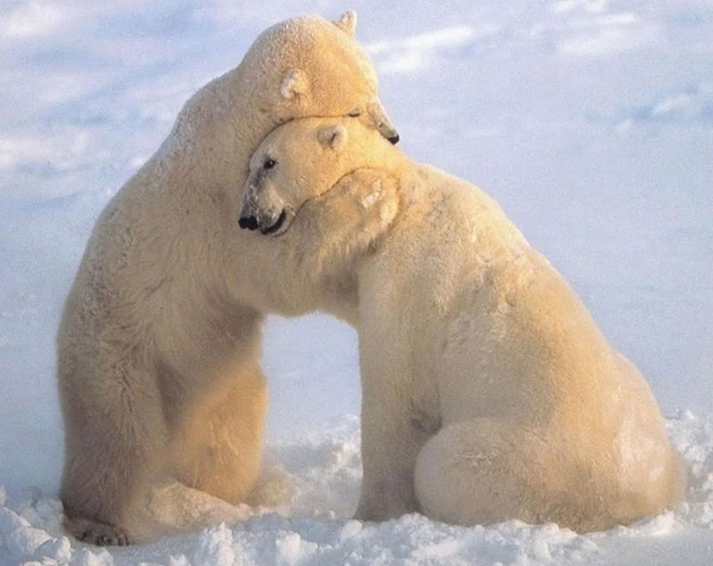 Ilaria Ortolani - approccio