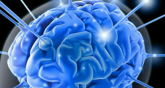 Ilaria Ortolani - approccio