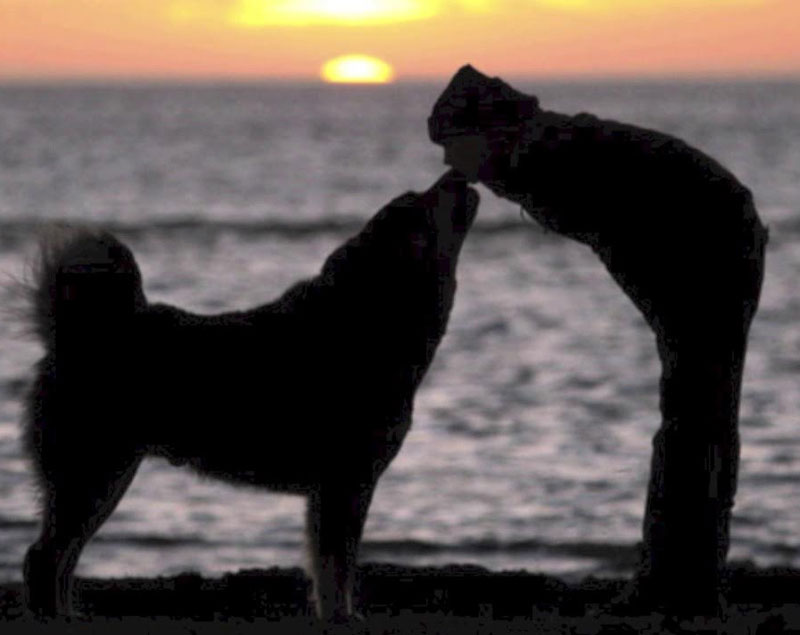 Ilaria Ortolani - approccio